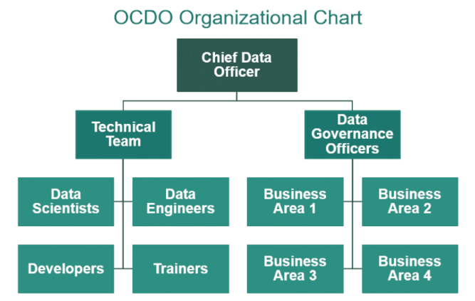 The Chief Data Officer oversees the technical team and the data governance officers.